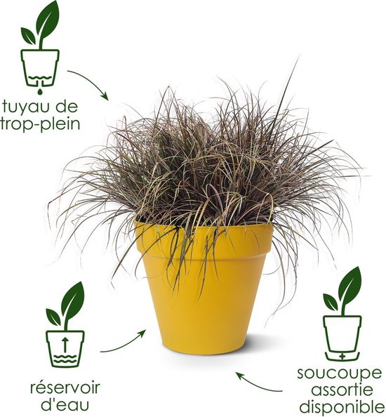 Elho Loft Urban Rond 50 - Bloempot voor Buiten - Ø 48.5 x H 44.5 cm - Antraciet