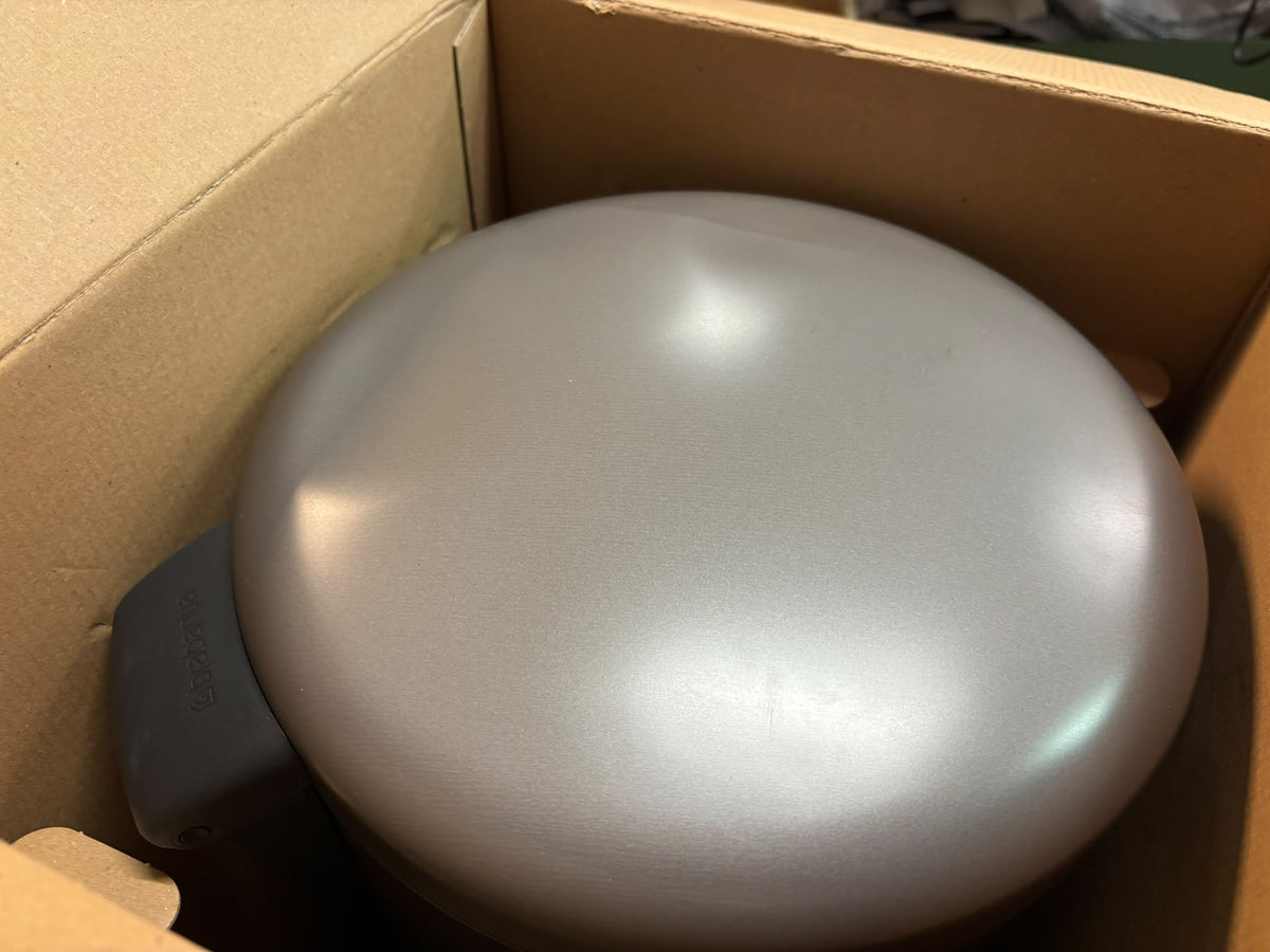 Brabantia NewIcon Prullenbak - 30 liter - Platinum LET OP! Kleine deukjes