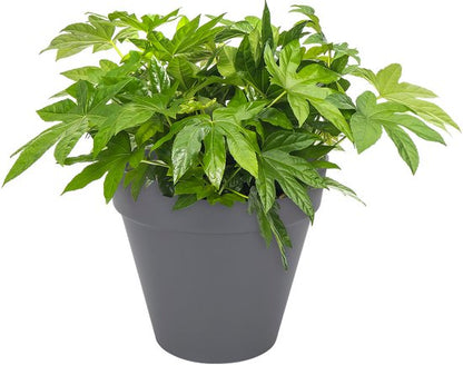 Elho Loft Urban Rond 50 - Bloempot voor Buiten - Ø 48.5 x H 44.5 cm - Antraciet