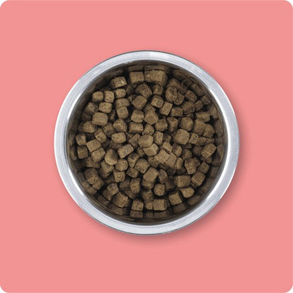 Best For Your Friend by Rosewood - Hondenbrokken - Verse Zalm - Tarwevrij - 1 zak à 12 kg