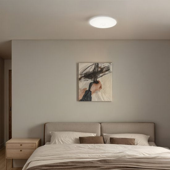 Philips Mauve plafondlamp - rond - groot - met sensor