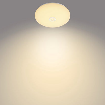 Philips Mauve plafondlamp - rond - klein - met sensor