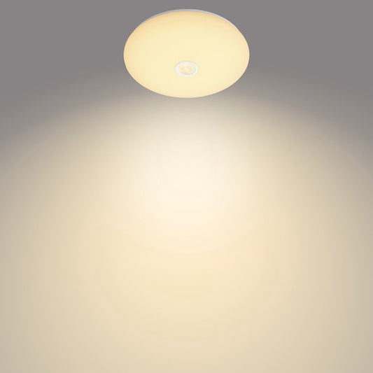 Philips Mauve plafondlamp - rond - klein - met sensor